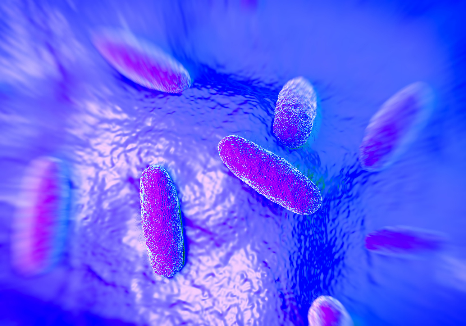 Salmonella typhimurium bacterium